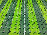 Primary school students practice martial arts during a class break in Tongren, China, on September 24, 2024. (