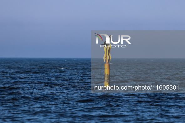 Cormorants are seen near a beach late in the afternoon as the sun sets near Leba, famous pomeranian tourist resort in northern Poland as Aut...