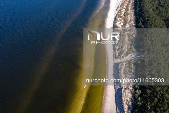 An aerial view of a beach, Baltic Sea and a forest late near Leba, famous pomeranian tourist resort in northern Poland as Autumn begins on S...