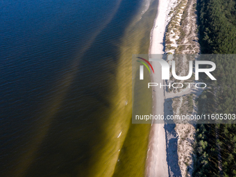 An aerial view of a beach, Baltic Sea and a forest late near Leba, famous pomeranian tourist resort in northern Poland as Autumn begins on S...