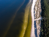 An aerial view of a beach, Baltic Sea and a forest late near Leba, famous pomeranian tourist resort in northern Poland as Autumn begins on S...