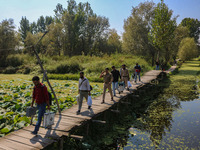 Polling officials along with Indian policemen walk in the interiors of Dal Lake towards their designated polling station after collecting el...