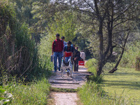 Polling officials walk in the interiors of Dal Lake towards their designated polling station after collecting election materials at a distri...