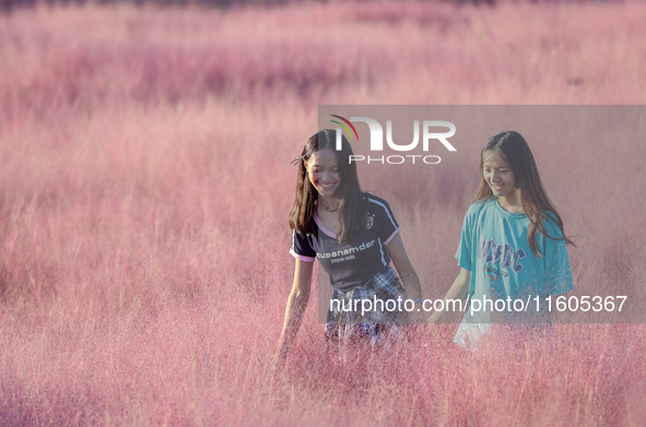 Tourists play in the blooming pink muhlygrass in Sanmenxia, China, on September 24, 2024. 