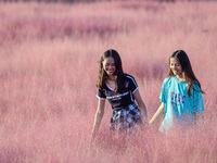 Tourists play in the blooming pink muhlygrass in Sanmenxia, China, on September 24, 2024. (