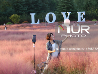 Tourists play in the blooming pink muhlygrass in Sanmenxia, China, on September 24, 2024. (