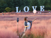 Tourists play in the blooming pink muhlygrass in Sanmenxia, China, on September 24, 2024. (