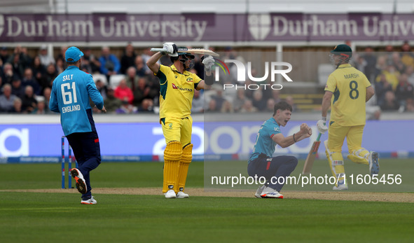 Matthew Potts of England appeals unsuccessfully after review against Steven Smith of Australia during the Metro Bank One Day Series match be...