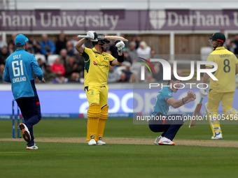 Matthew Potts of England appeals unsuccessfully after review against Steven Smith of Australia during the Metro Bank One Day Series match be...