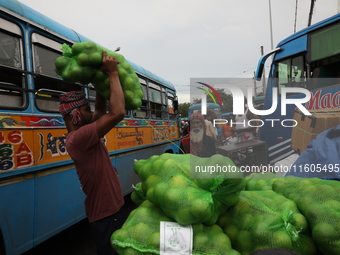 A laborer carries a sack filled with sweet lime fruits before loading it onto a passenger bus after it arrives from a neighboring state at a...