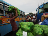 A laborer carries a sack filled with sweet lime fruits before loading it onto a passenger bus after it arrives from a neighboring state at a...