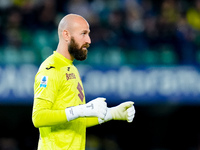 Vanja Milinkovic-Savic of Torino FC looks on during the Serie A Enilive match between Hellas Verona and Torino FC at Stadio Marcantonio Bent...