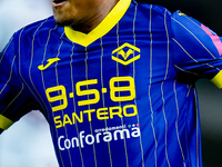 Close up of Hellas Verona home shirt during the Serie A Enilive match between Hellas Verona and Torino FC at Stadio Marcantonio Bentegodi on...