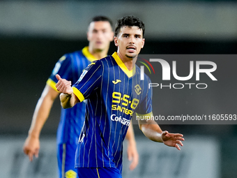 Dani Silva of Hellas Verona gestures during the Serie A Enilive match between Hellas Verona and Torino FC at Stadio Marcantonio Bentegodi on...