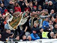 The crowd celebrates as Harry Brook of England scores four during the Metro Bank One Day Series match between England and Australia at the S...