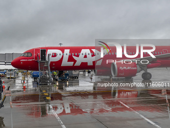 PLAY airline Airbus A321neo passenger aircraft spotted parked in front of the airport terminal building and the air bridge on the tarmac of...