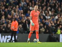 Goalkeeper Paul Farman (1 Barrow) looks on during the Carabao Cup Third Round match between Chelsea and Barrow at Stamford Bridge in London,...