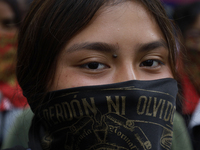 The 43 missing students from Ayotzinapa throw firecrackers on Tuesday, September 24, 2024, and demonstrate outside the Senate of the Republi...