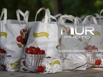 Bags of freshly picked apples are at an apple orchard in Stouffville, Ontario, Canada, on September 22, 2024. (