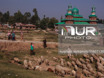 People walk towards a polling booth to cast their votes in Beerwah, Jammu and Kashmir, India, on September 25, 2024. (