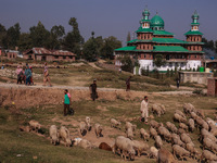 People walk towards a polling booth to cast their votes in Beerwah, Jammu and Kashmir, India, on September 25, 2024. (