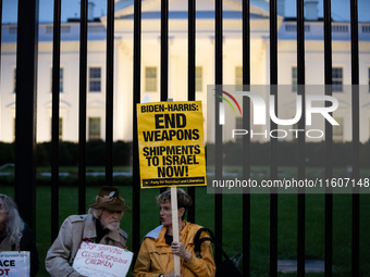 Protesters hold a demonstration in front of the White House in support of Lebanon following extensive air strikes by Israel, in Washington,...