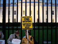 Protesters hold a demonstration in front of the White House in support of Lebanon following extensive air strikes by Israel, in Washington,...