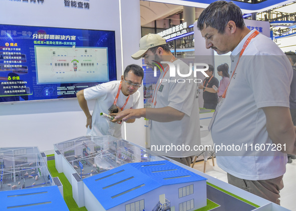 Uzbek businessmen learn to raise pigs at the 21st China-Asean Expo in Nanning, China, on September 25, 2024. 