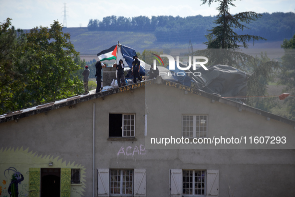 Bats are on the roof of the Verger house. For the fifth day, Gendarmerie and CNAMO try to dislodge squirrels from the trees they occupy at t...