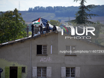 Bats are on the roof of the Verger house. For the fifth day, Gendarmerie and CNAMO try to dislodge squirrels from the trees they occupy at t...