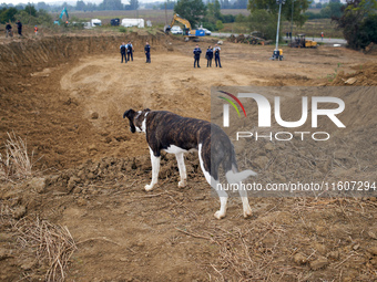 Gendarmes protect the building site during the Atosca work even though opponents are still in the streets and on the roof of the 'Verger' ho...