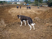 Gendarmes protect the building site during the Atosca work even though opponents are still in the streets and on the roof of the 'Verger' ho...