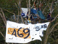 A squirrel lives in Zineb, an old walnut tree. For the fifth day, the Gendarmerie and CNAMO try to dislodge squirrels from the trees they oc...