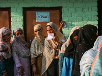 People stand in line to cast their vote at a polling station during the second phase of assembly elections in Srinagar, Indian Administered...