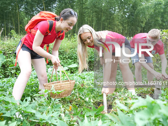 Middle school students from the United Kingdom dig sweet potatoes in Houwu village, Moganshan town, Deqing County, Huzhou city, East China's...