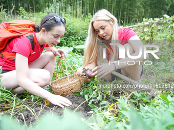 Middle school students from the United Kingdom dig sweet potatoes in Houwu village, Moganshan town, Deqing County, Huzhou city, East China's...