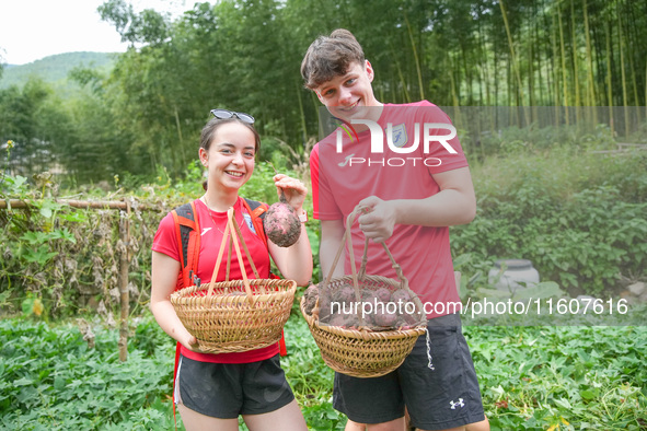 Middle school students from the United Kingdom dig sweet potatoes in Houwu village, Moganshan town, Deqing County, Huzhou city, East China's...