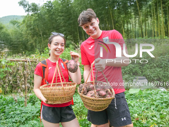 Middle school students from the United Kingdom dig sweet potatoes in Houwu village, Moganshan town, Deqing County, Huzhou city, East China's...