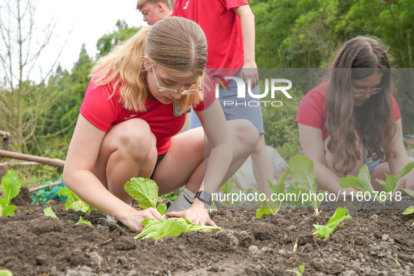 Middle school students from the United Kingdom grow vegetables in Houwu village, Moganshan town, Deqing County, Huzhou city, East China's Zh...