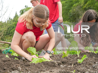 Middle school students from the United Kingdom grow vegetables in Houwu village, Moganshan town, Deqing County, Huzhou city, East China's Zh...