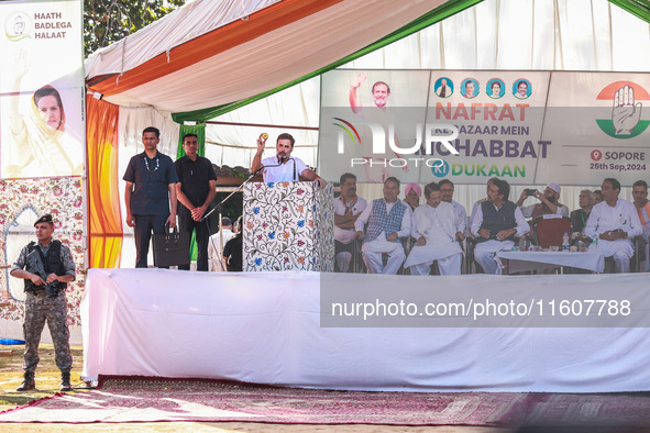 Rahul Gandhi holds a Kashmiri apple while addressing the public ahead of phase 3 assembly elections in Sopore, Jammu and Kashmir, India, on...