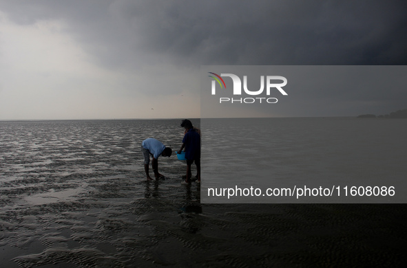 Members of the Zoological Survey of India (ZSI) are seen tagging horseshoe crabs with tracking devices as part of their research in the Inch...