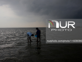 Members of the Zoological Survey of India (ZSI) are seen tagging horseshoe crabs with tracking devices as part of their research in the Inch...