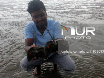 Members of the Zoological Survey of India (ZSI) are seen tagging horseshoe crabs with tracking devices as part of their research in the Inch...