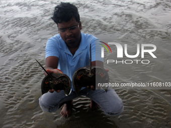 Members of the Zoological Survey of India (ZSI) are seen tagging horseshoe crabs with tracking devices as part of their research in the Inch...