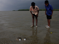 Members of the Zoological Survey of India (ZSI) are seen tagging horseshoe crabs with tracking devices as part of their research in the Inch...