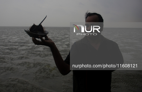 Members of the Zoological Survey of India (ZSI) are seen tagging horseshoe crabs with tracking devices as part of their research in the Inch...