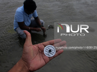 Members of the Zoological Survey of India (ZSI) are seen tagging horseshoe crabs with tracking devices as part of their research in the Inch...