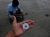 Members of the Zoological Survey of India (ZSI) are seen tagging horseshoe crabs with tracking devices as part of their research in the Inch...