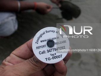 Members of the Zoological Survey of India (ZSI) are seen tagging horseshoe crabs with tracking devices as part of their research in the Inch...